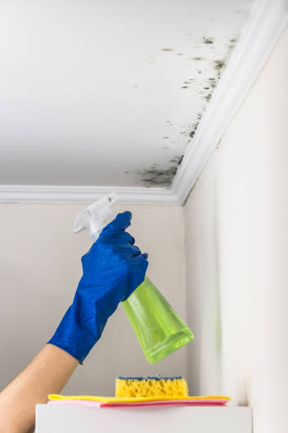 Columbia, SC Mold Remediation Company